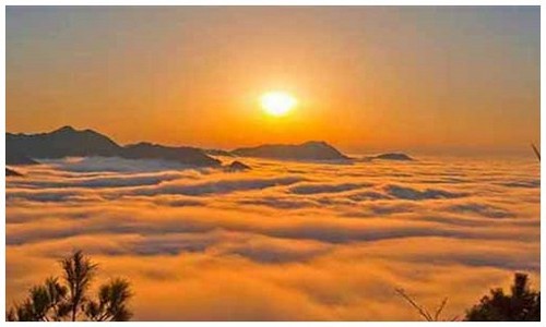 2026最新龙岛异兽版本更新官网入口在哪，附阵容搭配建议